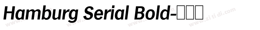 Hamburg Serial Bold字体转换